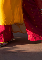 Fareedi – Radiant Chanderi Ensemble